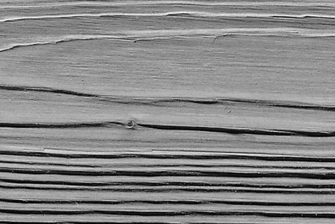 holz bürsten