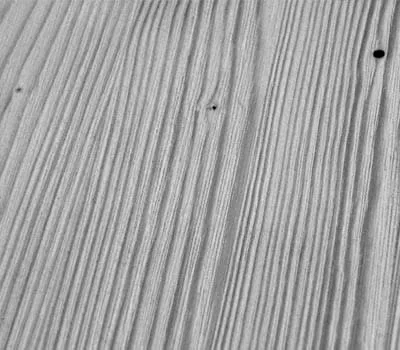 Fläche, nach dem sie mit den Kunststoffborsten der Rustilonbürste geschliffen wurde.