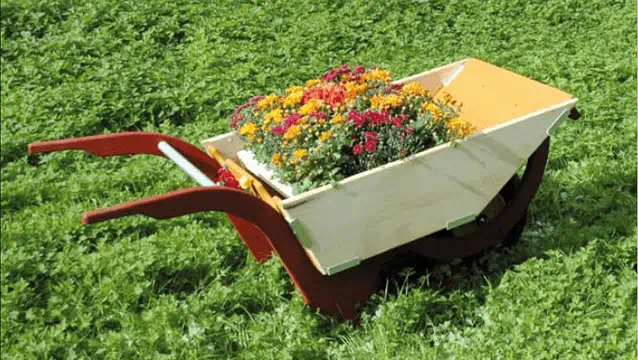 Pflanzenschubkarre