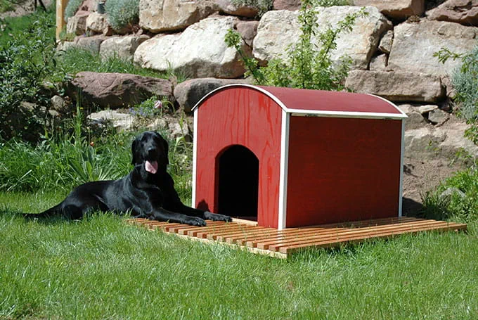 hundehütte